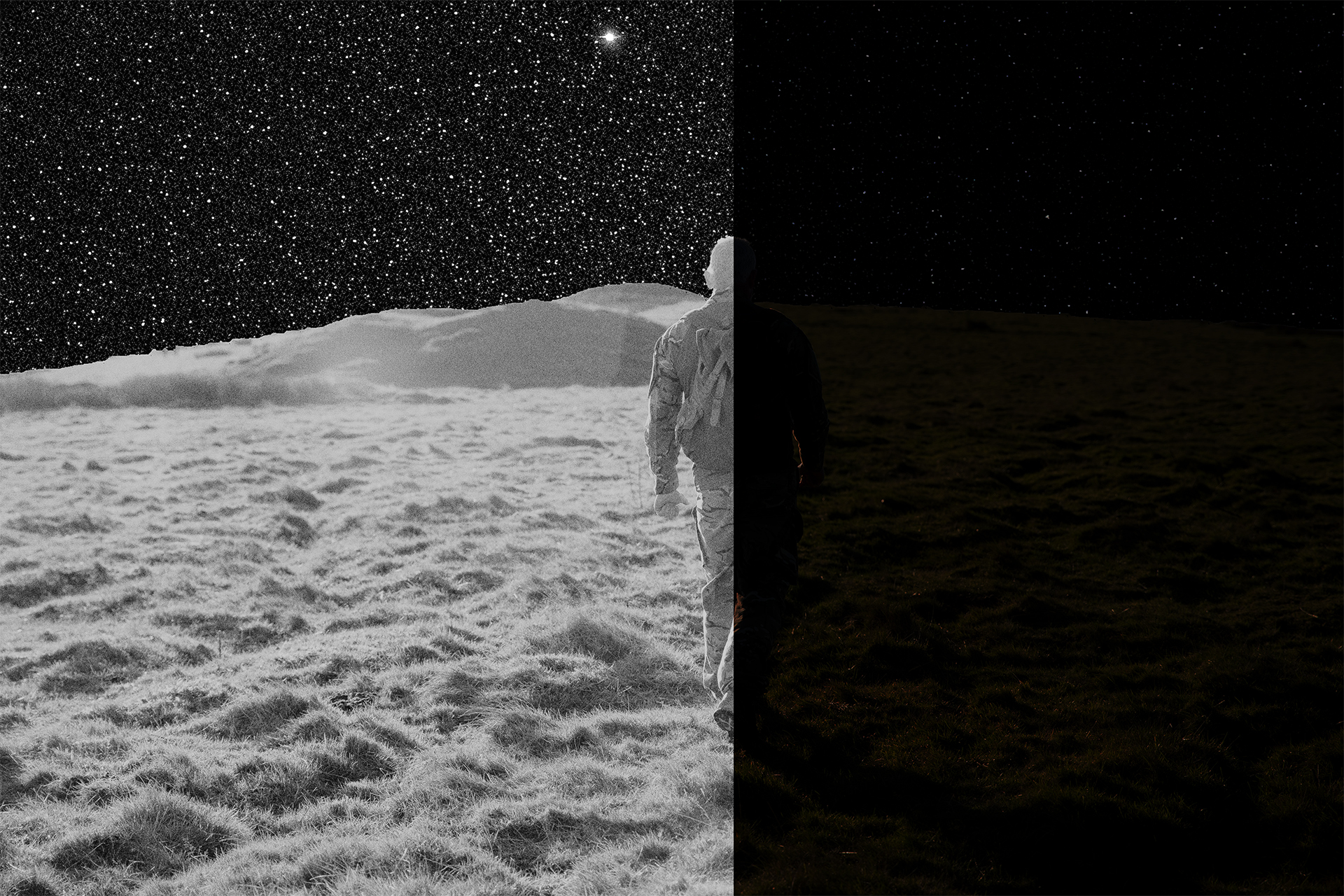 Professional security surveillance